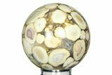 Polished Orbicular King Cobra Jasper Sphere - India #311568-1